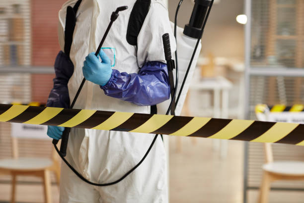 Professional Sewage Cleanup technician working in Anna, OH